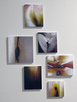 diana_arzumanyants